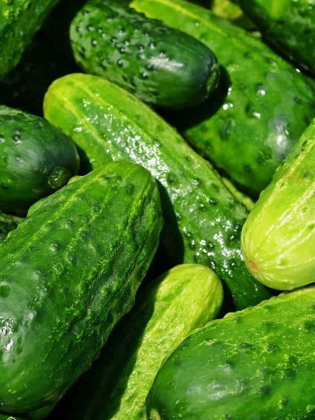 क्यों दीवार पर खीरा घिस रहे हैं लोग?