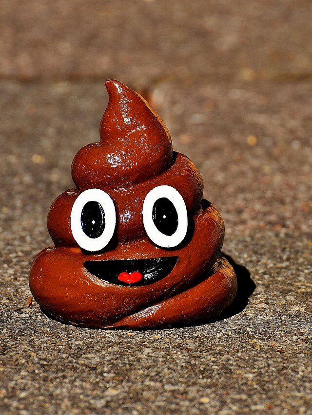 পায়খানার রং বলে দেয় শরীরে কী রোগ পাকছে, জেনে রাখুন