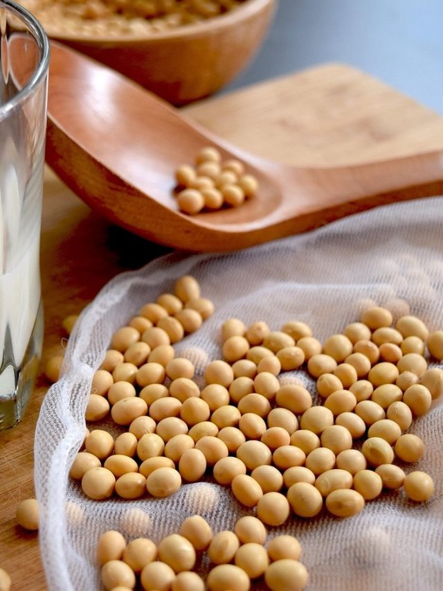 वीगन और वेजिटेरियन लोगों के लिए वरदान से कम नहीं है ये चीज, फायदे उड़ा देंगे होश