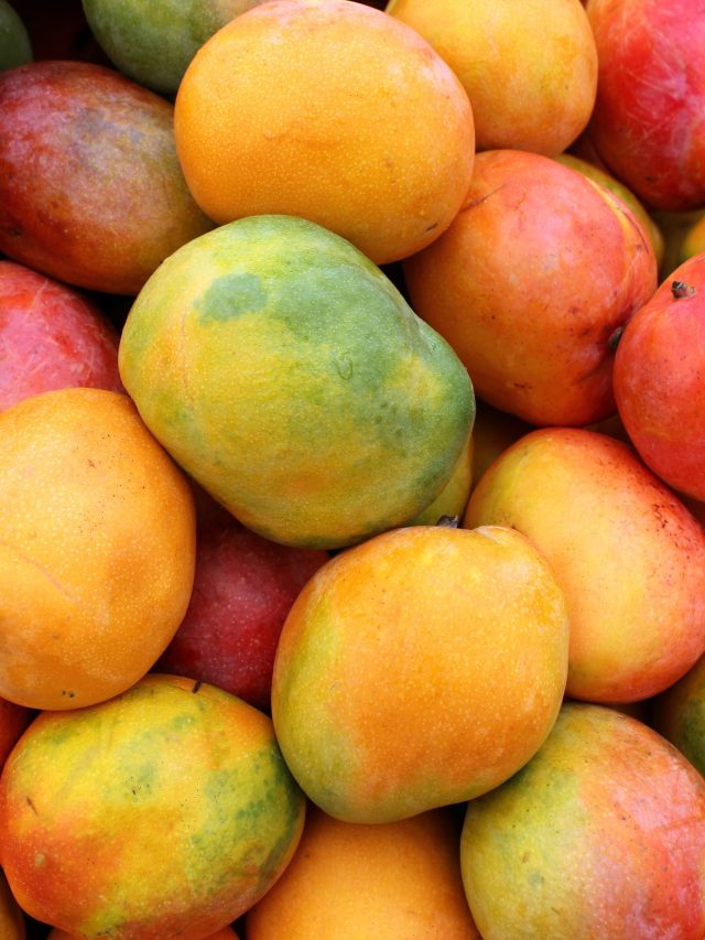 বাজারের শেষ আম স্টোর করুন এভাবে, বছরভর টপাটপ খাবেন