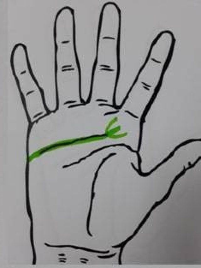 हथेली के ये निशान बदल देते हैं व्यक्ति का भाग्य, मिलती है सिर्फ तरक्की