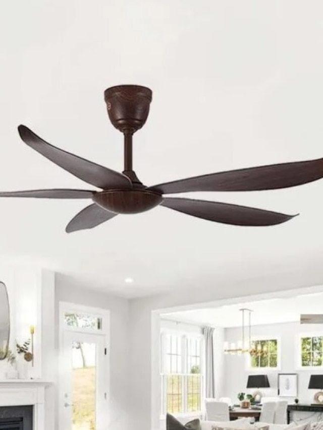 সিলিং ফ্যানেই ঘর হবে বরফ ঠান্ডা, রইল ৬ উপায়