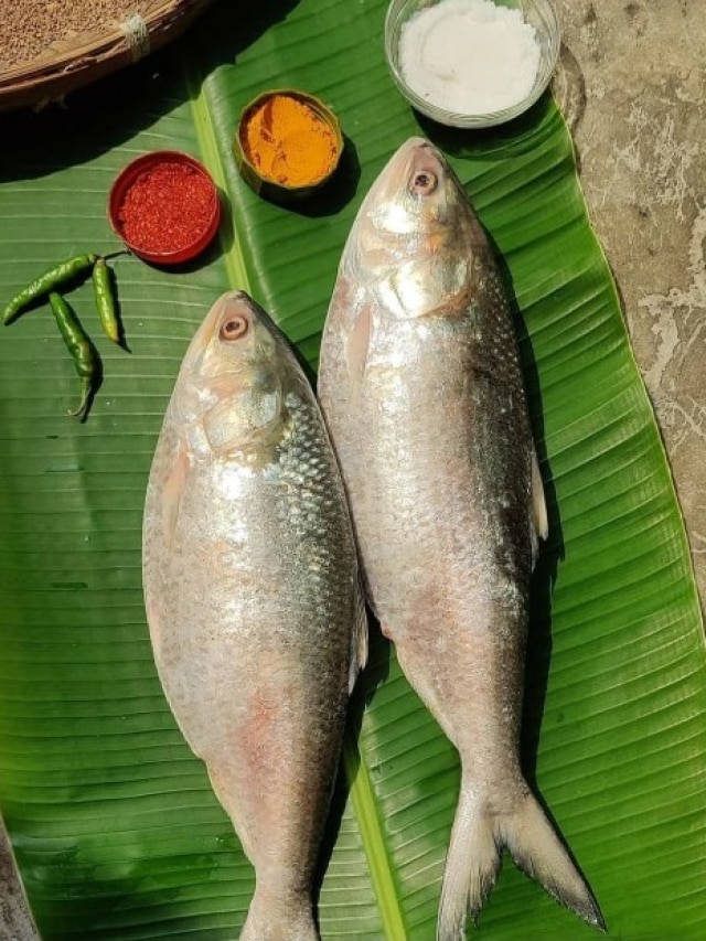 ইলিশের এই অংশ মুখে দেবেন না, খাওয়ার আগে জেনে নিন