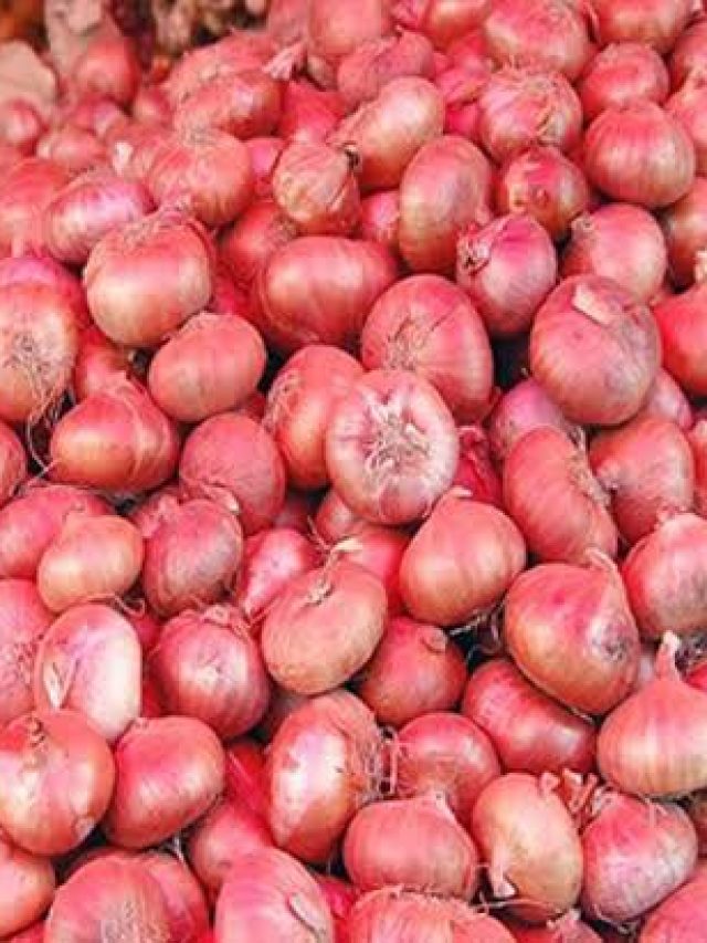 পেঁয়াজ এভাবে রাখলে একটাও পচবে না, গ্রামের টেকনিকটা জেনে নিন