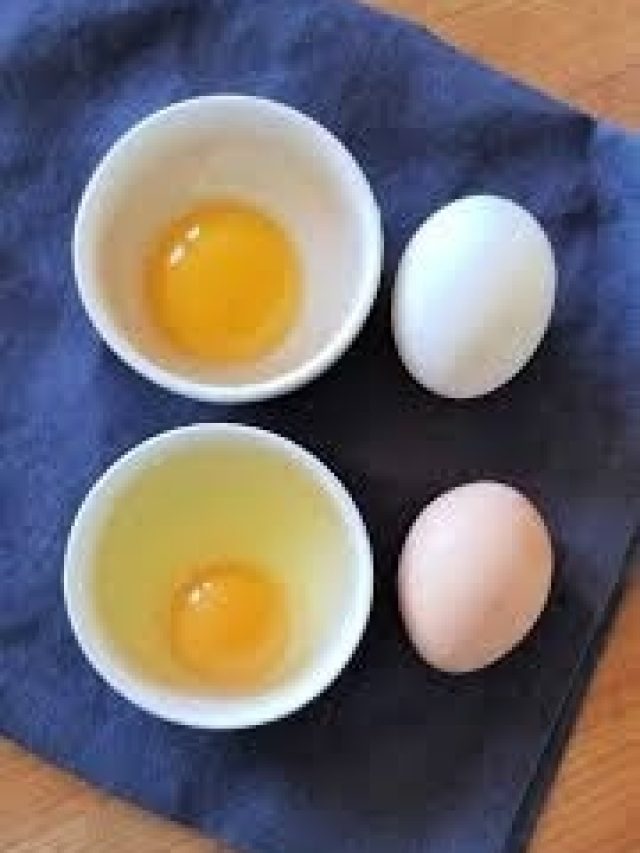 হাঁস না মুরগি,  কোন ডিমে পুষ্টি বেশি?