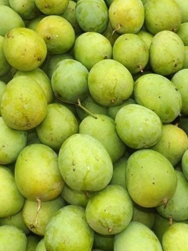 কাঁচা আমের উপকারিতা অনেক, কী কী জানলে রোজ খাবেন