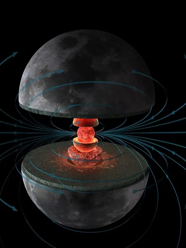 Solid, Dense, Real: What’s really hiding inside the Moon