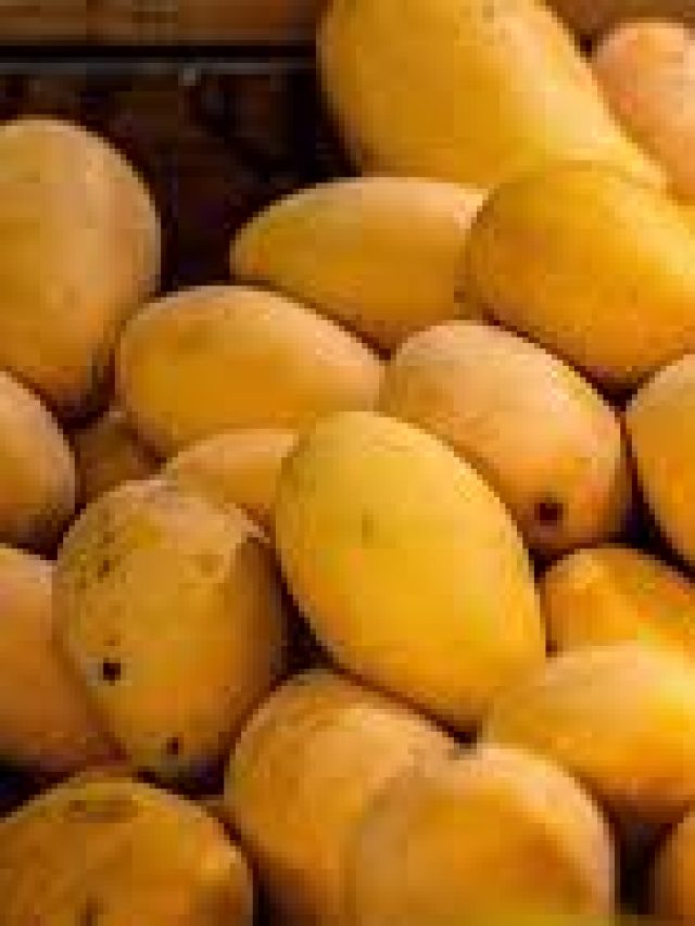 ৫ উপায়ে সংরক্ষণ করুন পাকা আম, আগামী গ্রীষ্মেও খেতে পারবেন