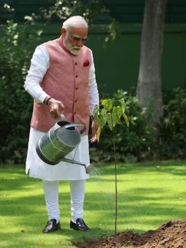 ‘সিঁদুর গাছ’ পুঁতলেন মোদী, কি ফলে এই গাছে?