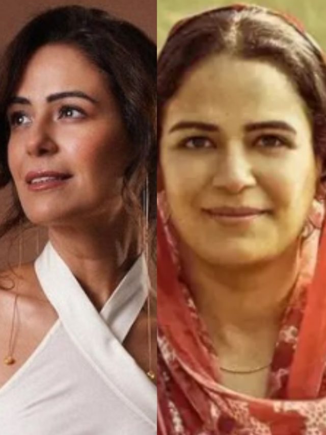 आमिर की फिल्म के लिए कुर्बान की फिटनेस, पतली से मोटी हुई एक्ट्रेस, बोली- बहुत मुश्किल...