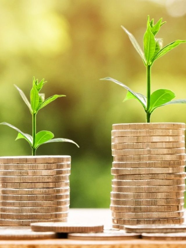 ঘরে লাগান এই ২টি গাছ, চুম্বকের মতো টাকা টানে