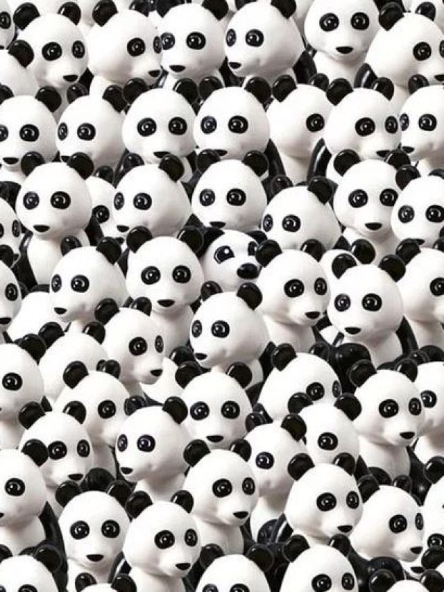 'Panda' के बीच छिपा है 'Puppy', 10 सेकंड में ढूंढने वाला कहलाएगा जीनियस