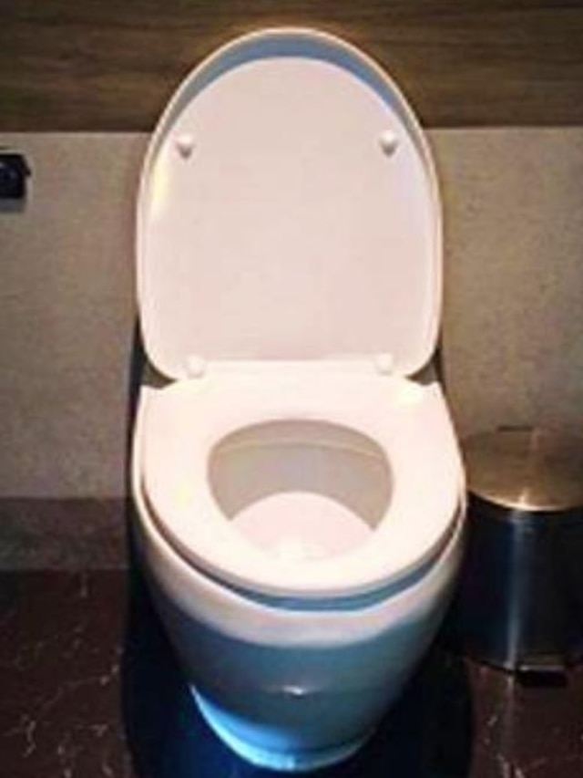 কমোডে প্রস্রাব ও পায়খানার আলাদা নিয়ম, জানেন না অনেক শিক্ষিতও