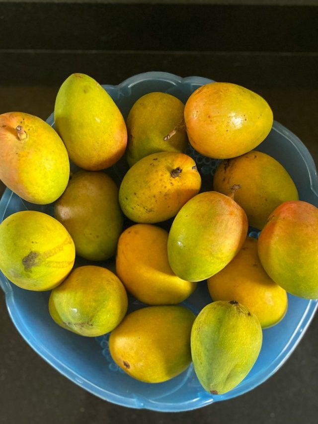 ফেলবেন না আমের খোসা, উপকারিতা শুনলে অবাক হবেন