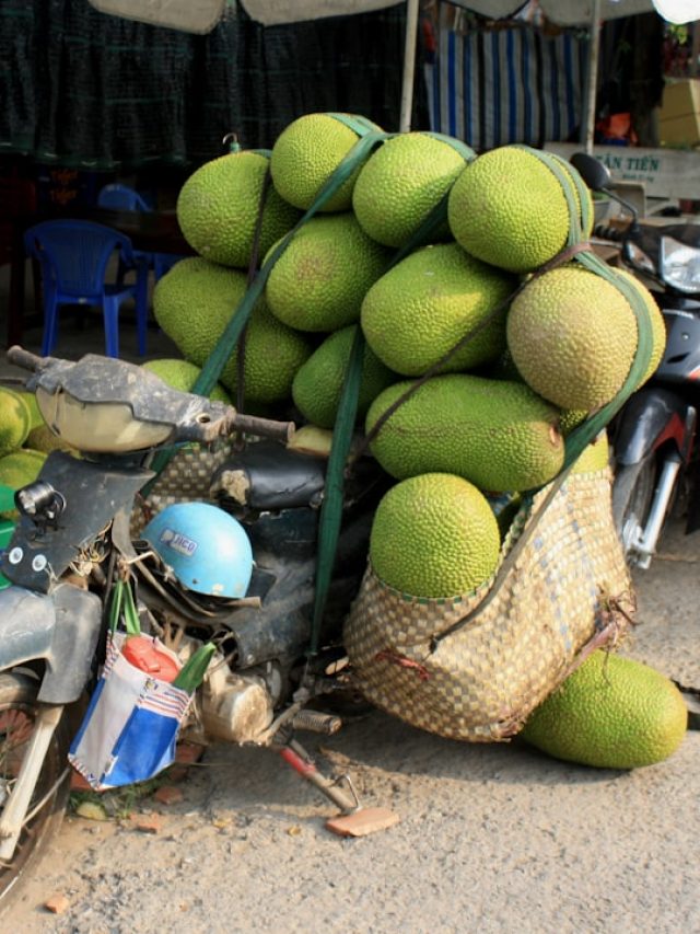 কাঁঠালটি কি মিষ্টি হবে? খোসা না ভেঙে গায়ের রং দেখেই চিনুন
