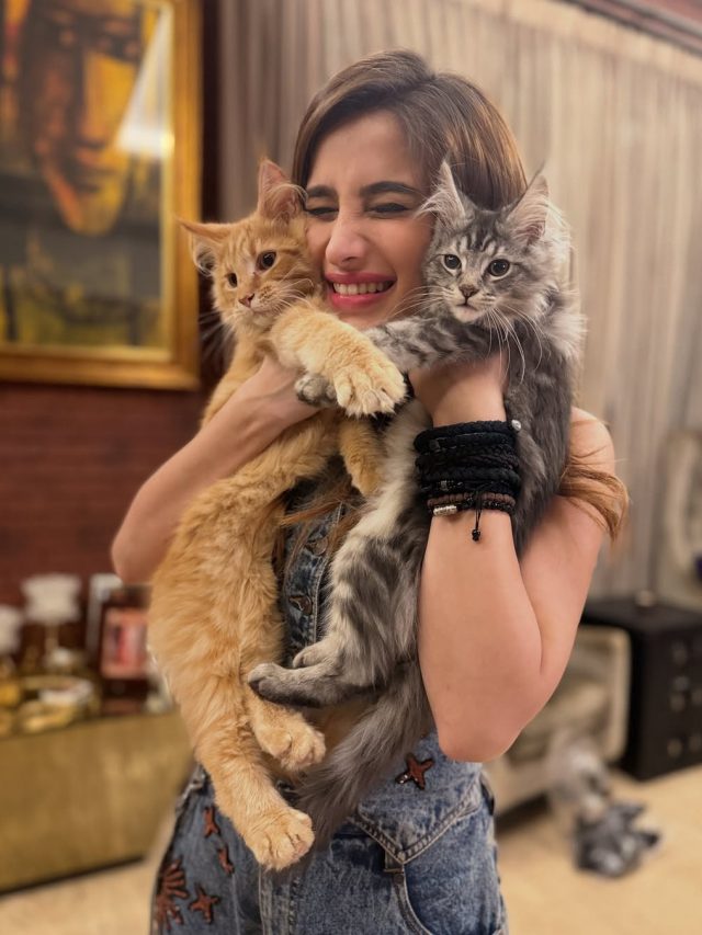 रवीना टंडन के घर में 2 नए 'मेहमानों' की एंट्री, बेटी राशा ने दिखाई झलक, बोलीं- परिवार बढ़ रहा