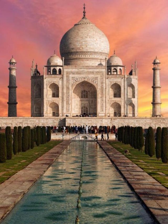 তাজমহলের আশপাশে ভর্তি তুলসী গাছ, কেন জানেন?