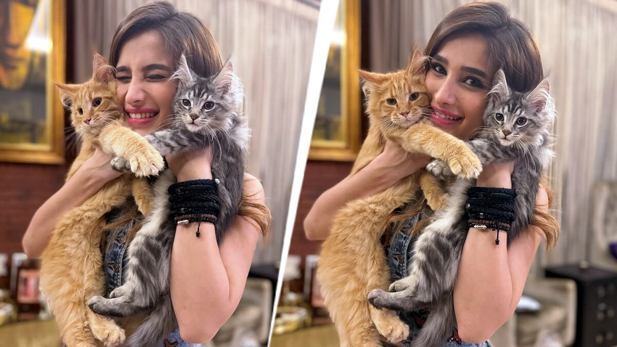 रवीना टंडन के घर में 2 नए 'मेहमानों' की एंट्री, बेटी राशा ने दिखाई झलक, बोलीं- परिवार बढ़ रहा