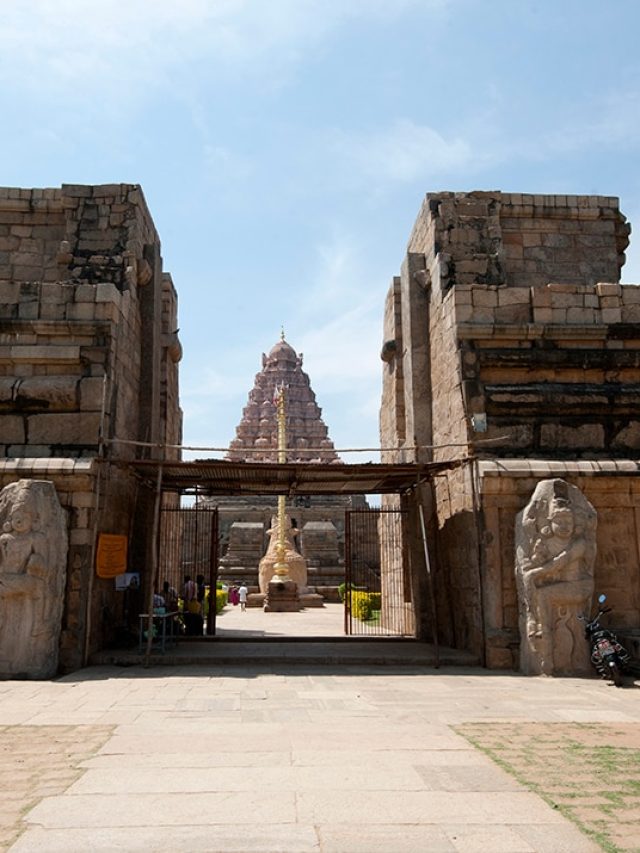 Sarees, Ships, and Queens: How the Cholas quietly ruled the ancient world