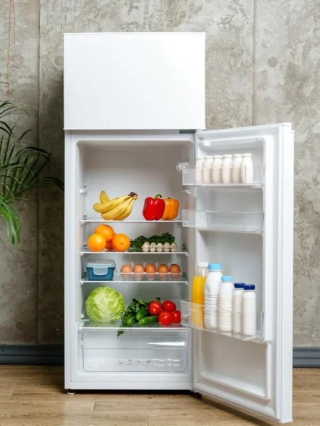 পুরনো ফ্রিজেও  দুর্দান্ত কুলিং পাবেন, এই ৫ কাজ করুন