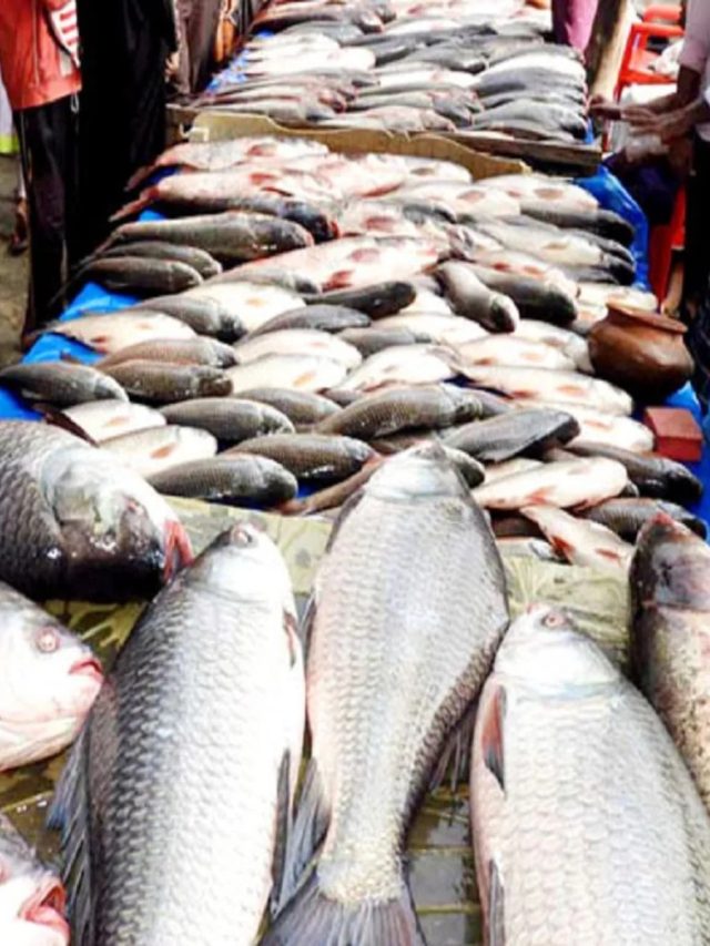 বন্ধ করুন এই ৬ মাছ খাওয়া, পেটে গেলেই বিষক্রিয়া!