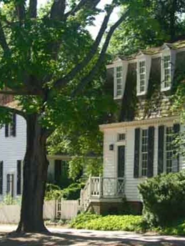 বাড়ির দরজার সামনে এমন গাছ থাকলেই বিপদ, বলছে বাস্তু