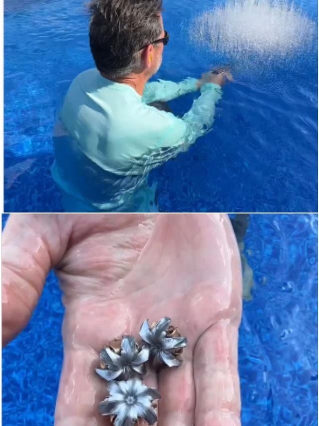 बुलेट ब्लूम... पानी में गोली मारकर बनती है ये ज्वैलरी, लाखों में बिकता है एक-एक पीस!