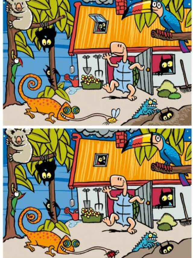 तस्वीर में 4 गलतियां खोज पाएंगे आप, 10 सेकंड में ढूंढने का चैलेंज