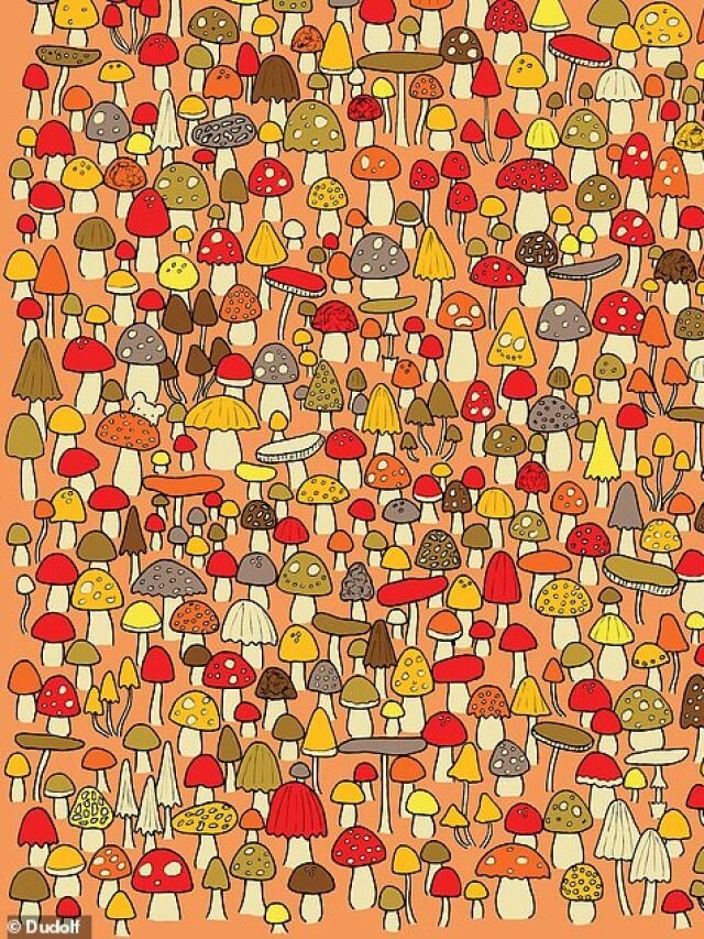 Mushroom के बीच छिपा है 'चूहा',  10 सेकंड में खोजने का  चैलेंज