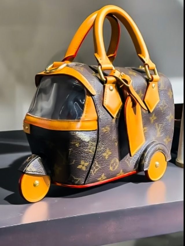 प्लेन..फिश और हैम्बर्गर के बाद लूई वीटॉन ने बनाया Auto Rickshaw Bag! सोशल मीडिया पर मचाई धूम