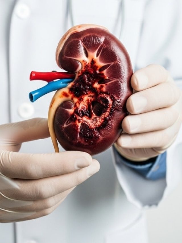 किडनी खराब कर रही हैं ये 6 आदतें, संभल जाएं नहीं तो हो सकती है फेल