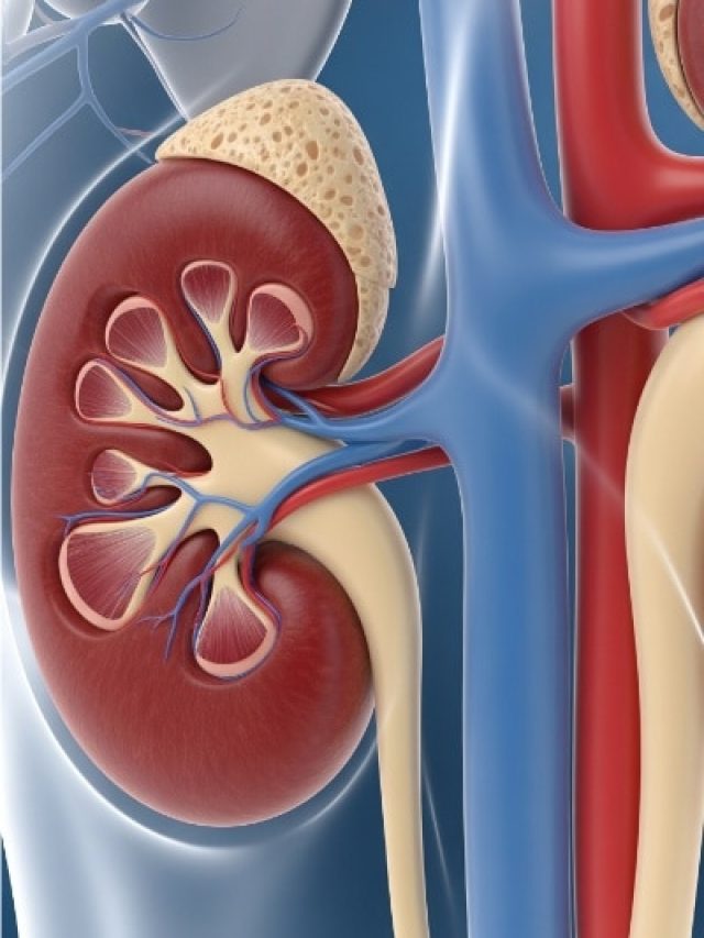 किडनी फेल होने से पहले शरीर चिल्ला-चिल्लाकर देता है ये 5 चेतावनी! गौर करना बेहद जरूरी