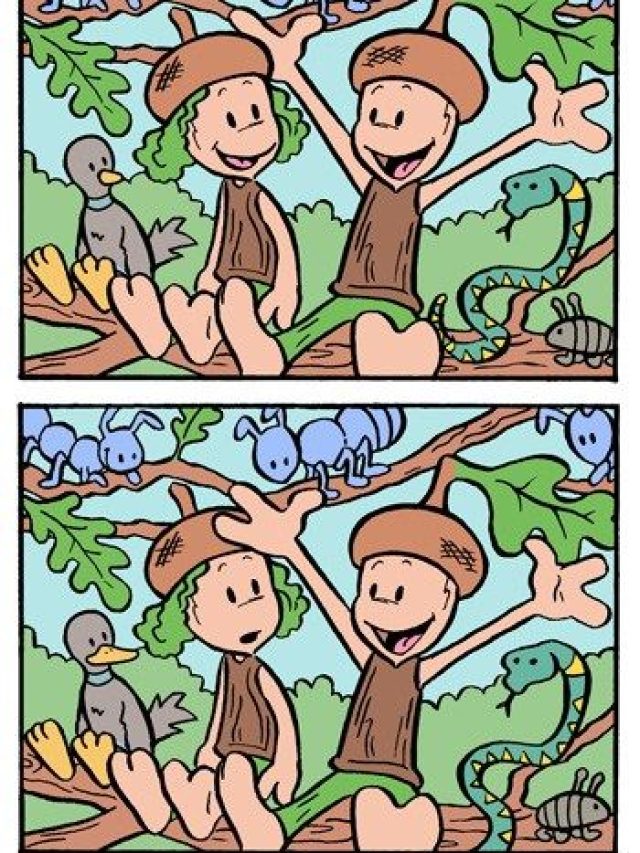 तस्वीर में हैं 5 गलतियां, 10 सेकंड में खोजने का चैलेंज