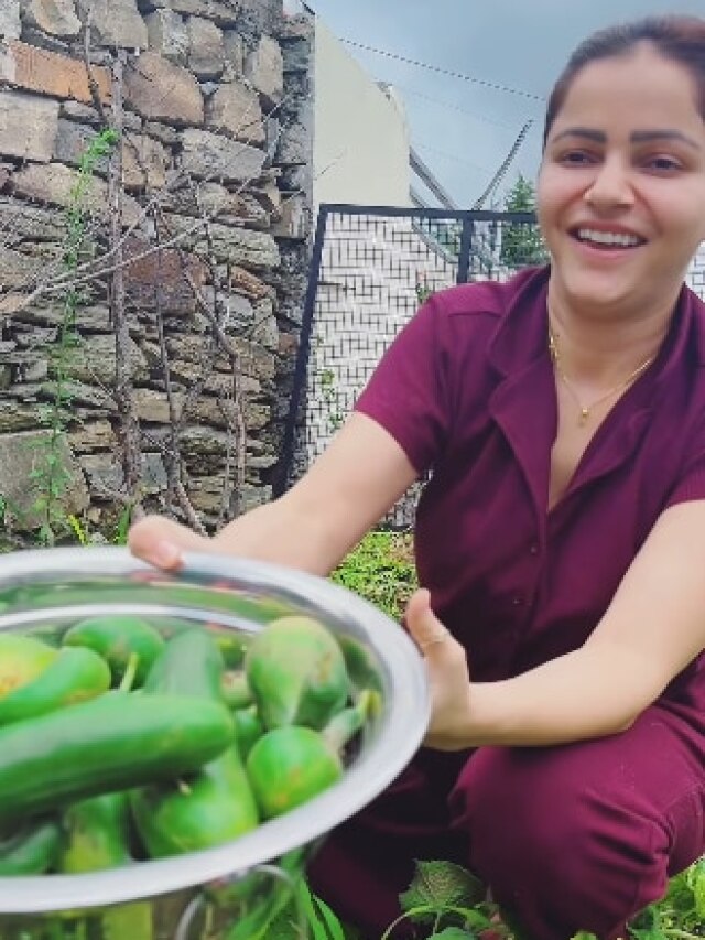 TV की मशहूर एक्ट्रेस बनी किसान, पिछले 5 सालों से कर रही खेती-बाड़ी, जुड़वां बेटियां दे रहीं साथ