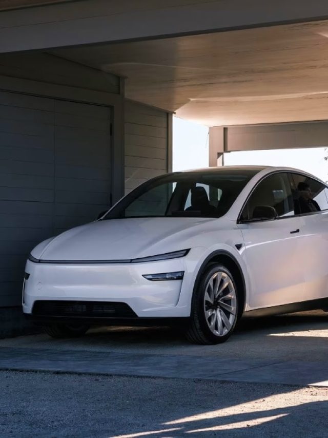 आसान नहीं है TESLA का शौक! इस एक फीचर के लिए देने होंगे 6 लाख रुपये