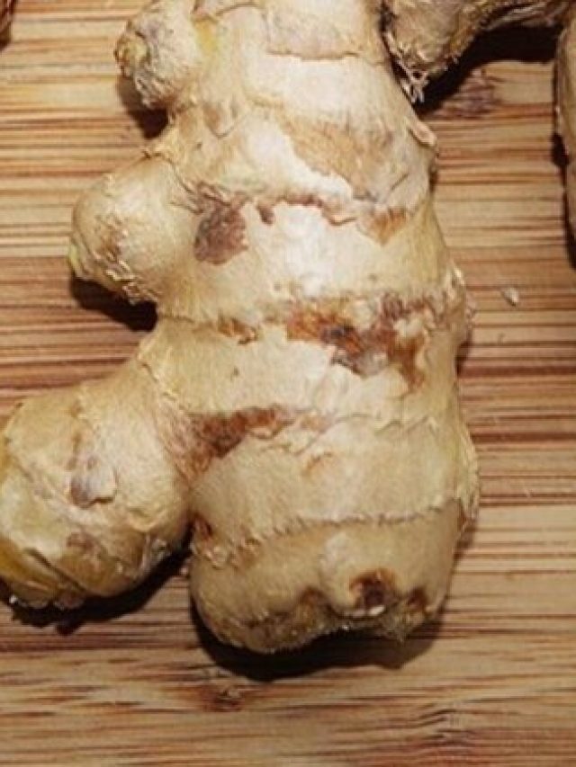 রোজ আদা চিবোলে যা হয়, কল্পনাও করতে পারবেন না