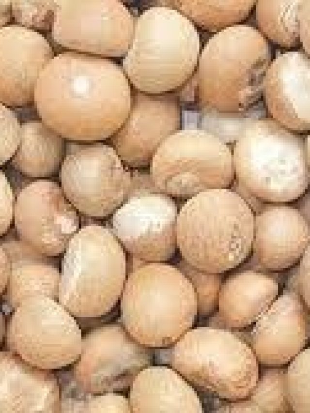 সুপারির এই টোটকায় অর্থলাভ হয়, জেনে রাখুন