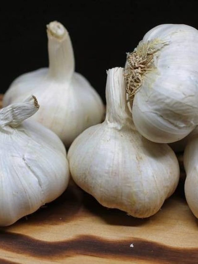 চুল কালো মিশমিশে করে দেবে রসুন, কীভাবে, জানুন