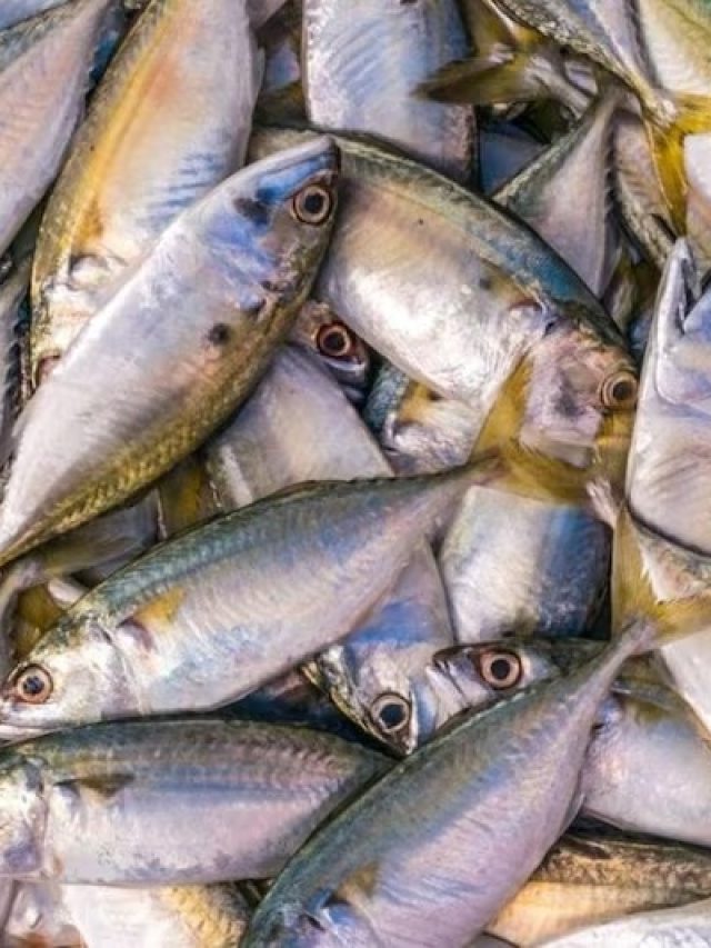 মাছের এই অংশ  ভুলেও খাবেন না, জানা উচিত