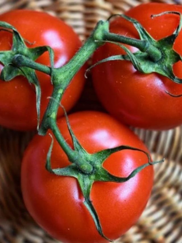 কীভাবে চিনবেন টমেটো ভেজাল কি না?