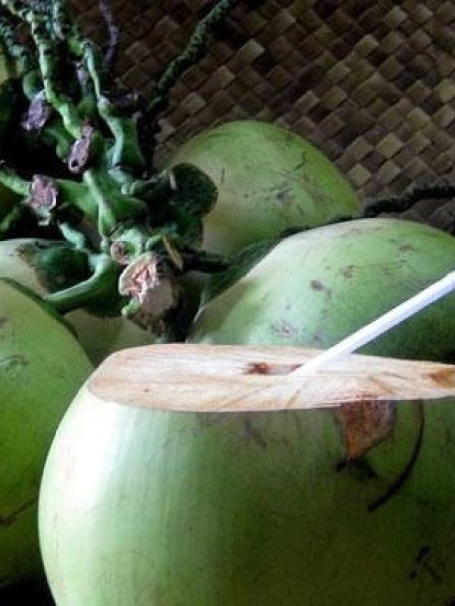 সবার জন্য ডাবের জল খাওযা উপকারী নয়, কারা খাবেন না?