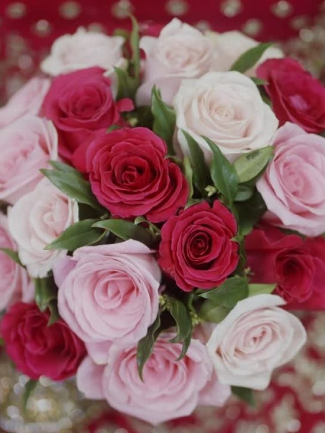 পুজোও করতে পারেন, আবার খেতেও পারেন, এই ফুলের বড়াও চমৎকার