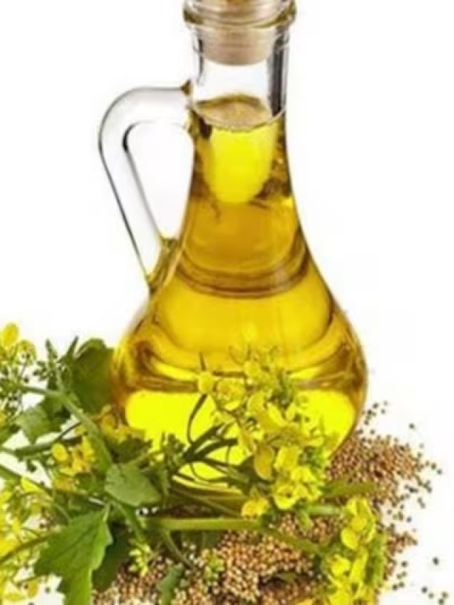 সর্ষের তেল মাখলে কী হয়, জানুন