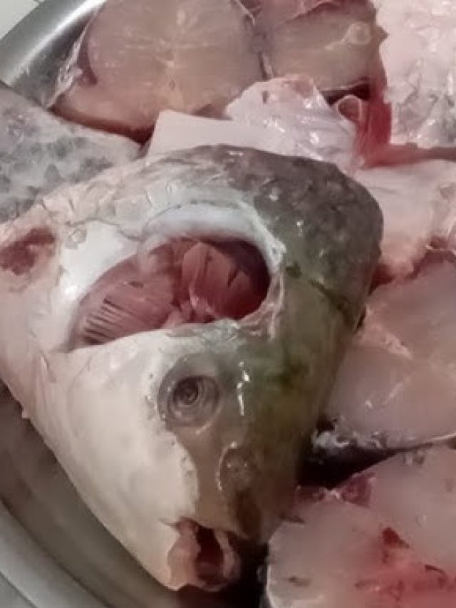 গাদা-পেটি ছাড়ুন, মাছের ল্যাজা খেলেই রাজা হবেন