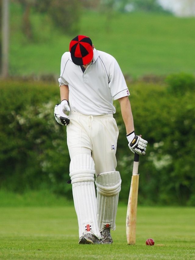 कौन सी हैं वो नौकरी, जिनमें सारे मैच फ्री देखने को मिलते हैं और अलग अलग देशों में फ्री यात्रा?