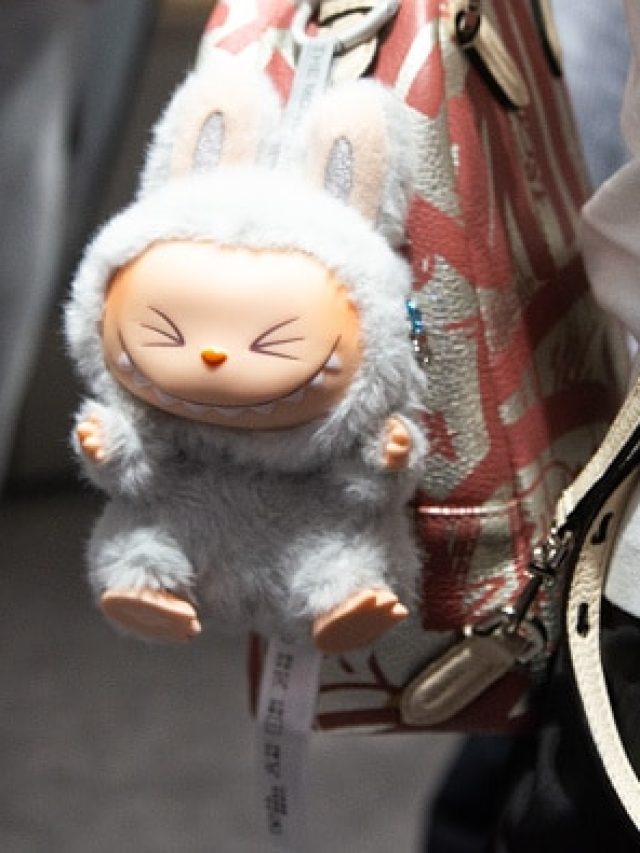 क्यों नहीं खरीदनी चाहिए Labubu डॉल? ये 7 कारण जान पैसे नहीं करेंगे बर्बाद