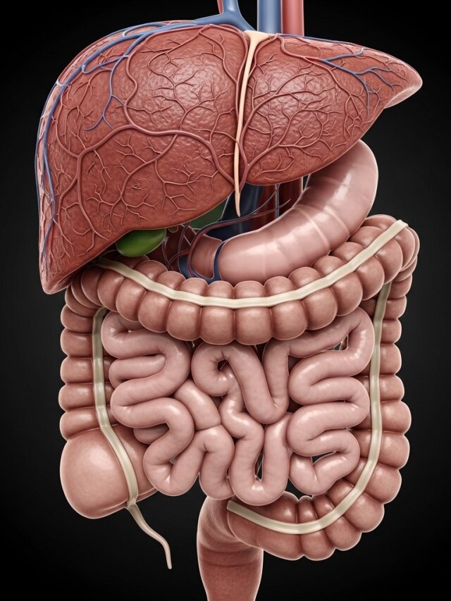डॉक्टर ने बताया लिवर-आंत को हेल्दी रखने के लिए वो क्या करते हैं? आप भी जान लें