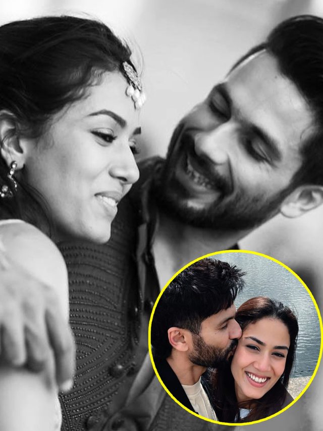 '10 साल बाद...', पति शाहिद की बांहों में रोमांटिक हुईं मीरा, मनाया जश्न, देवर ईशान ने किया रिएक्ट