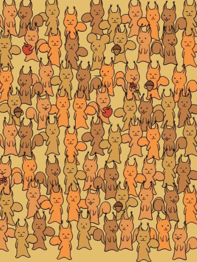 गिलहरी' के बीच छिपा है 'Mouse', 10 सेकंड में ढूंढने का चैलेंज