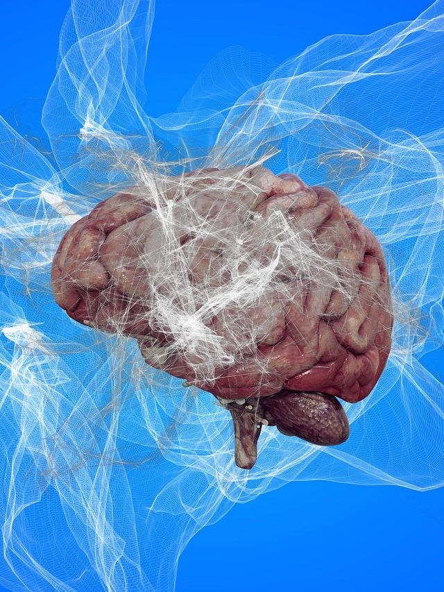 ब्रेन एजिंग को करना चाहते हैं स्लो? इन टिप्स से मिलेगी मदद